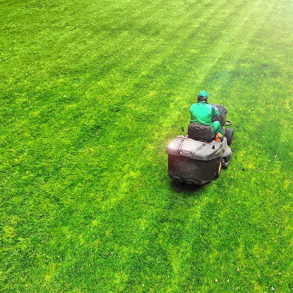 Swedesboro Landscaping & Lawn Mowing services