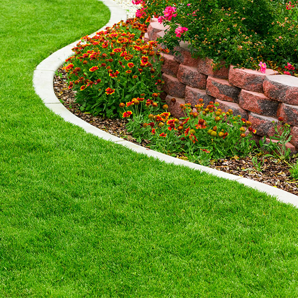 Woodstown Landscaping & Lawn Mowing services