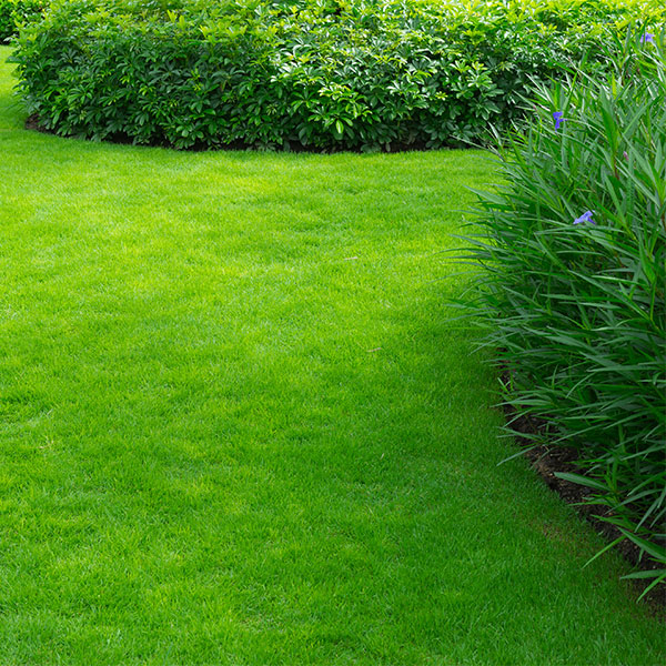 Alloway Landscaping & Lawn Mowing services